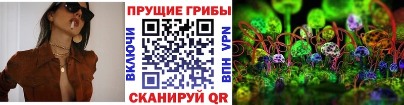 где можно купить   Биробиджан  Псилоцибиновые грибы Psilocybe 