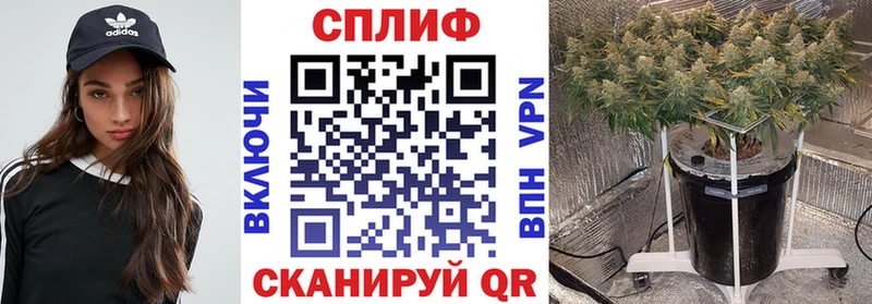 Бошки Шишки марихуана Биробиджан